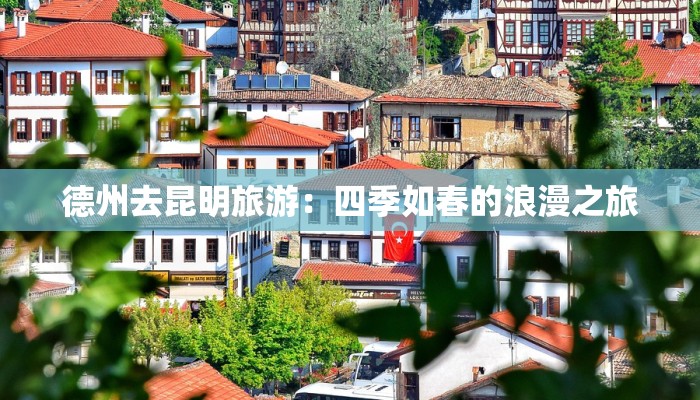 广场舞刘海砍樵扇子舞：活力绽放的广场旋律