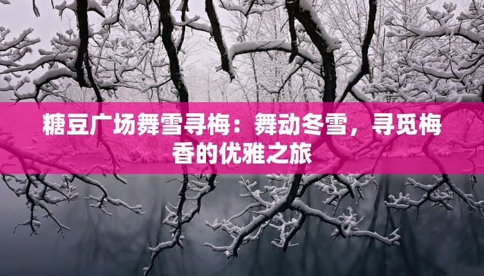 糖豆广场舞雪寻梅：舞动冬雪，寻觅梅香的优雅之旅